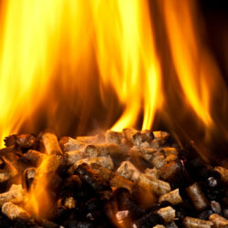 Burning,Wood,Pellet,With,Flame